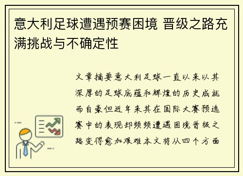 意大利足球遭遇预赛困境 晋级之路充满挑战与不确定性