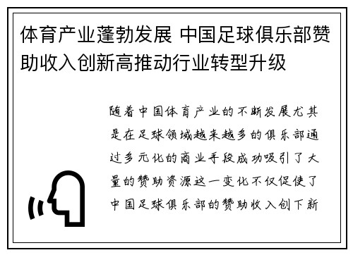 体育产业蓬勃发展 中国足球俱乐部赞助收入创新高推动行业转型升级
